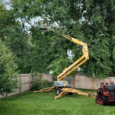 Best Tree Preservation Services  in Guernsey, WY