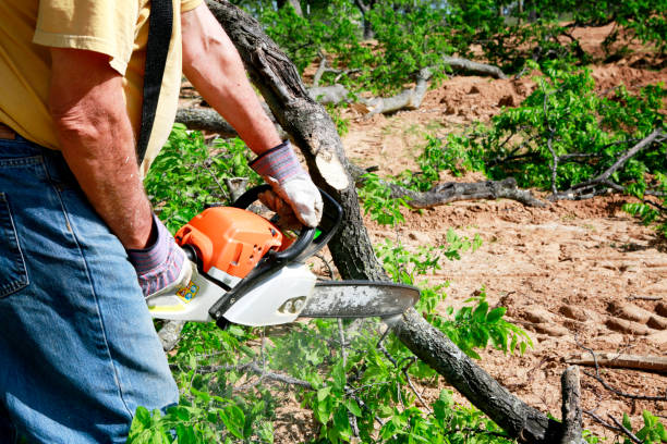 Seasonal Cleanup (Spring/Fall) in Guernsey, WY